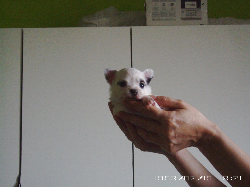 photos